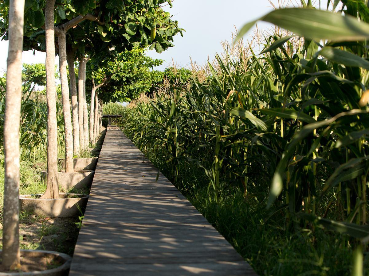 Sanur Residence المظهر الخارجي الصورة